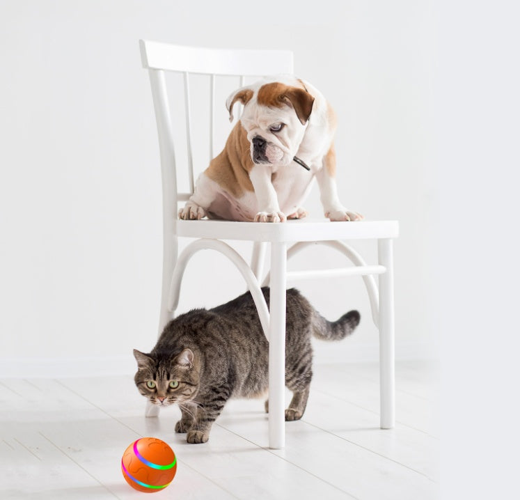 Pet New Cat Wicked Ball Toy Intelligent Ball USB Cat Toys Self Rotating Ball Automatic Rotation Ball