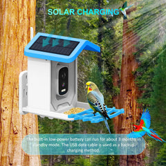 Solar Powered Smart Bird Feeder with Camera WIFI