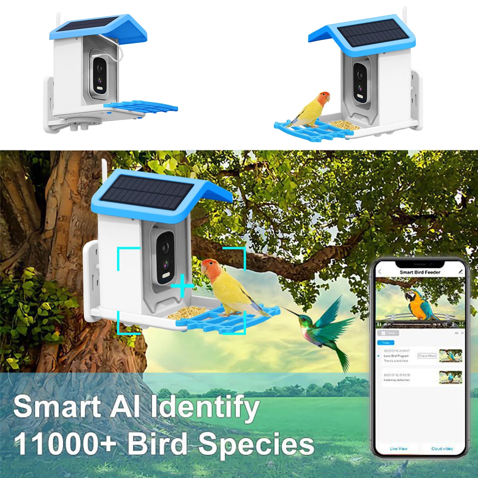 Solar Powered Smart Bird Feeder with Camera WIFI